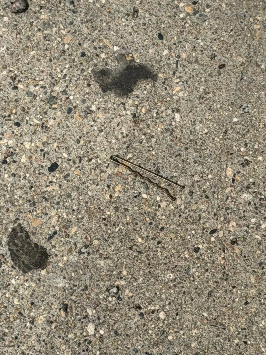 Bobby pin found in