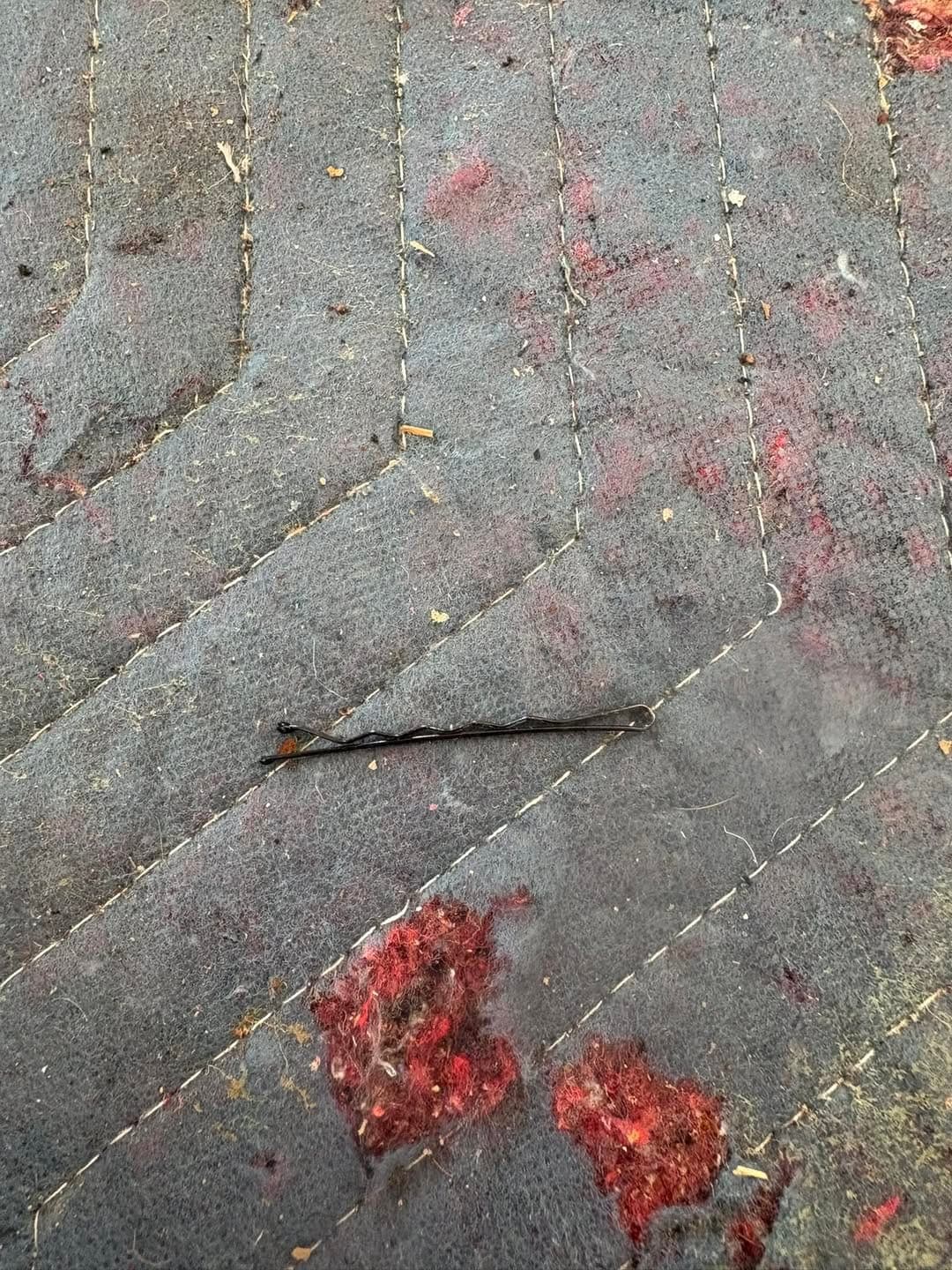 Bobby pin found in